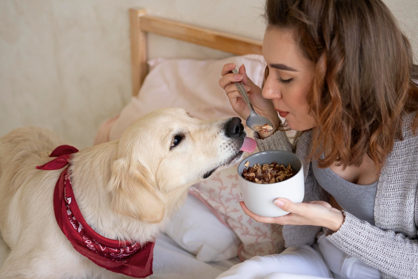 What Is Chicken Meal in Dog Food?